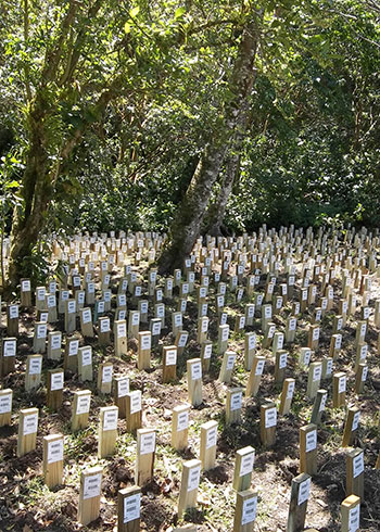 Depletion plot - San Luis, Costa Rica